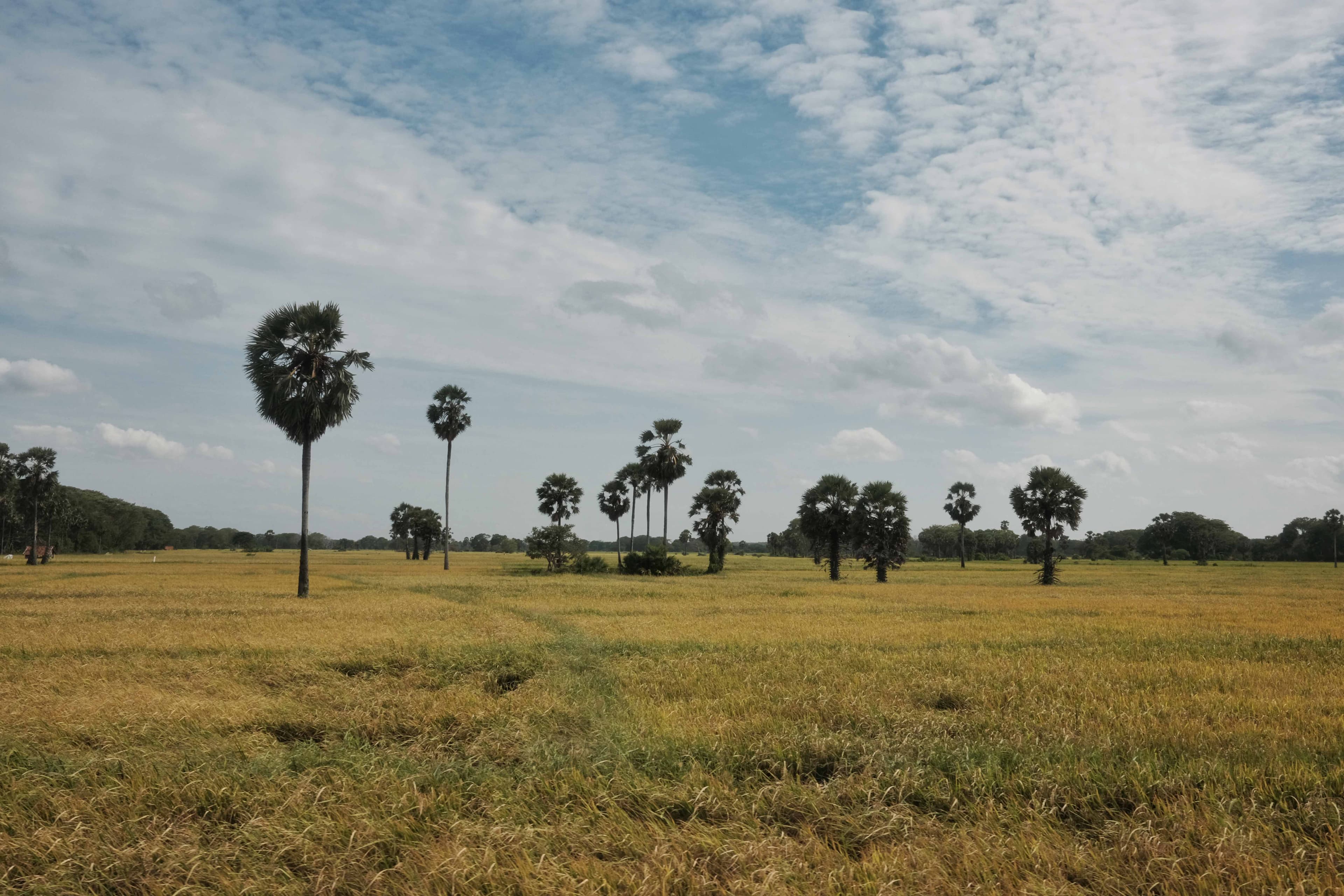Jaffna Fort